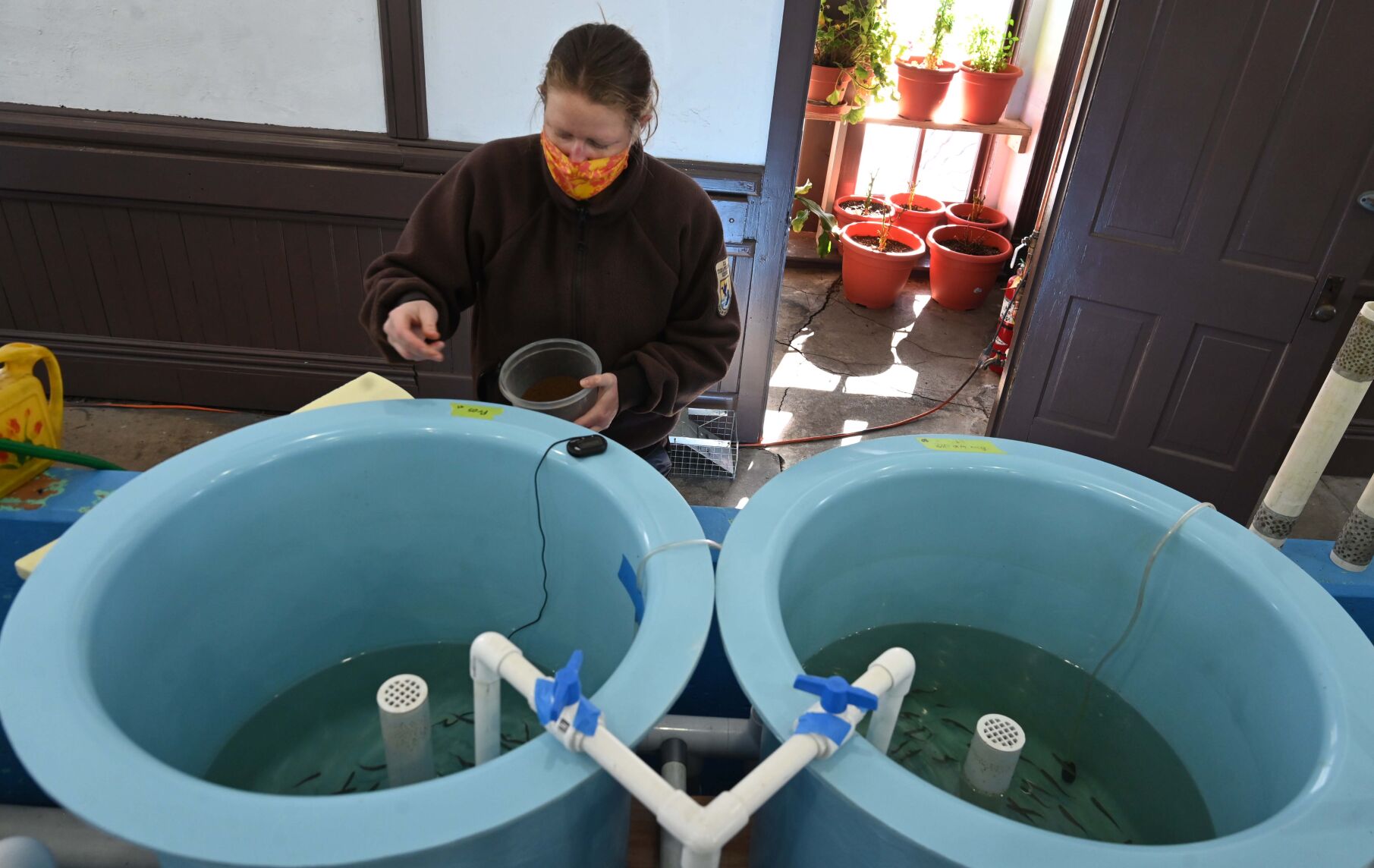 011722-ot-hatchery-dg 02.JPG
